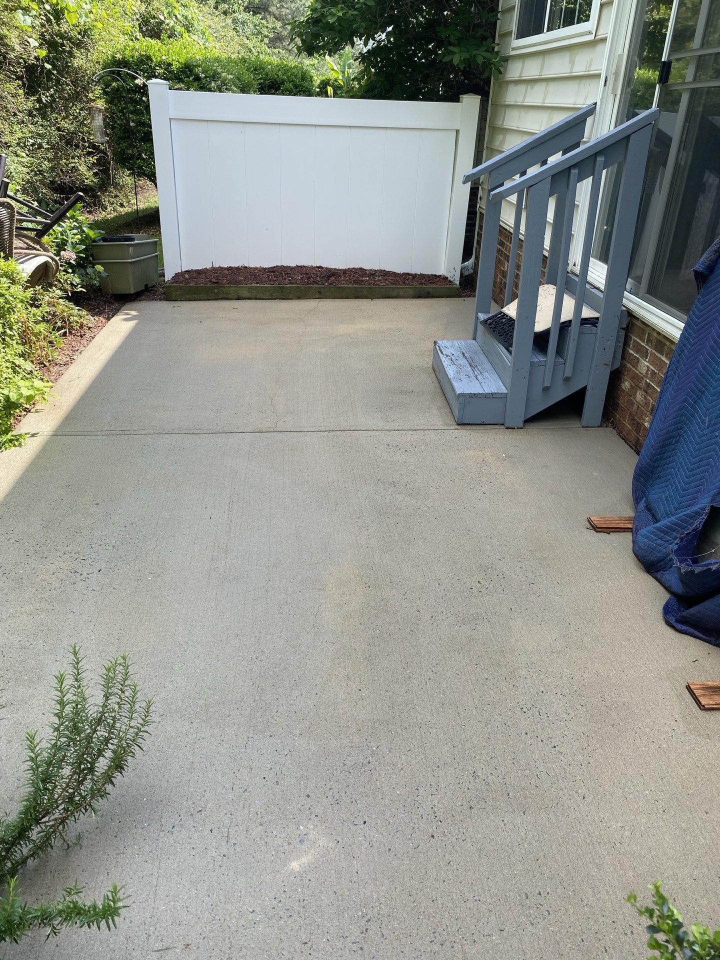 Driveway Cleaning — before